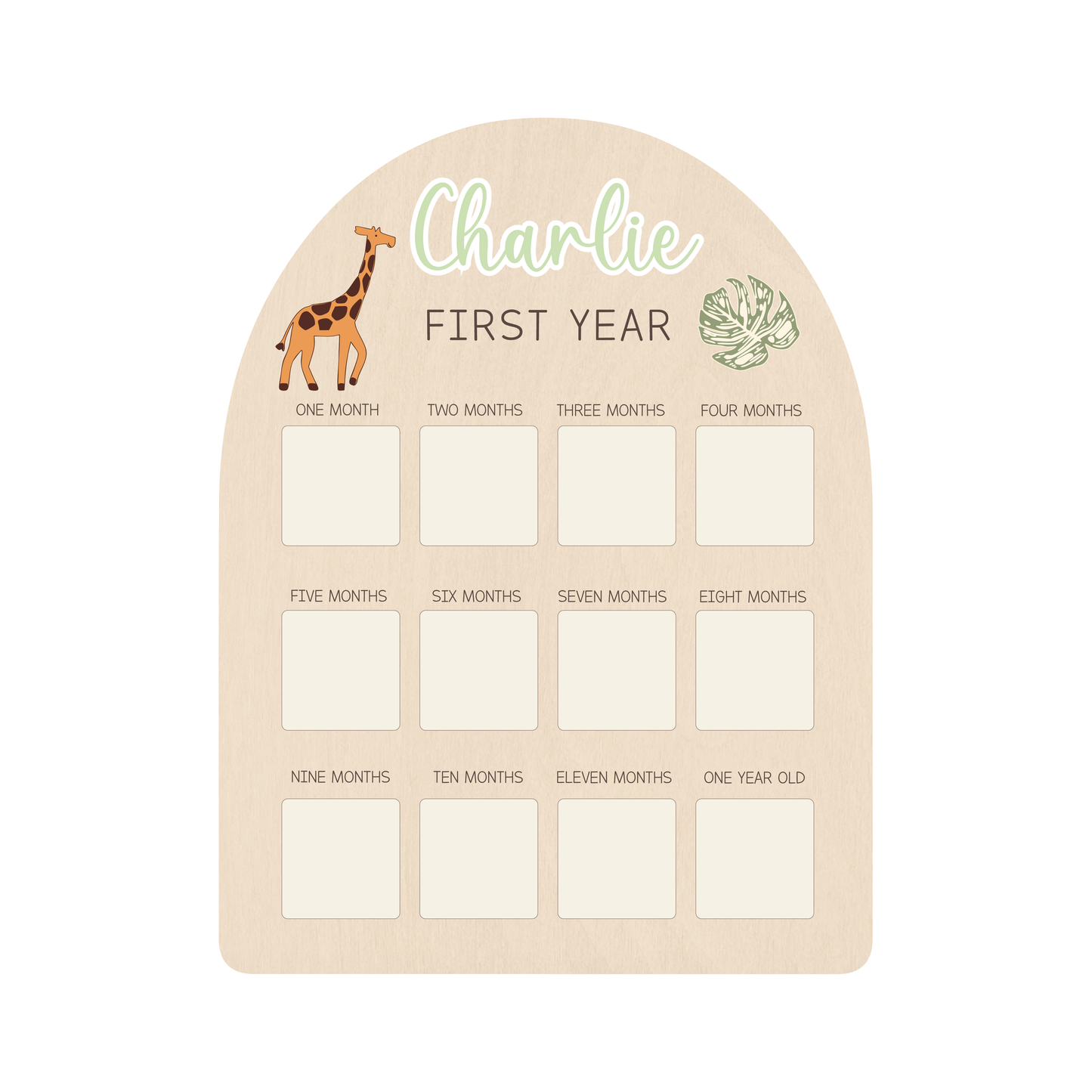 First Year Photo Board - Safari